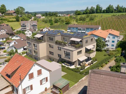 Uster, Schlossblick