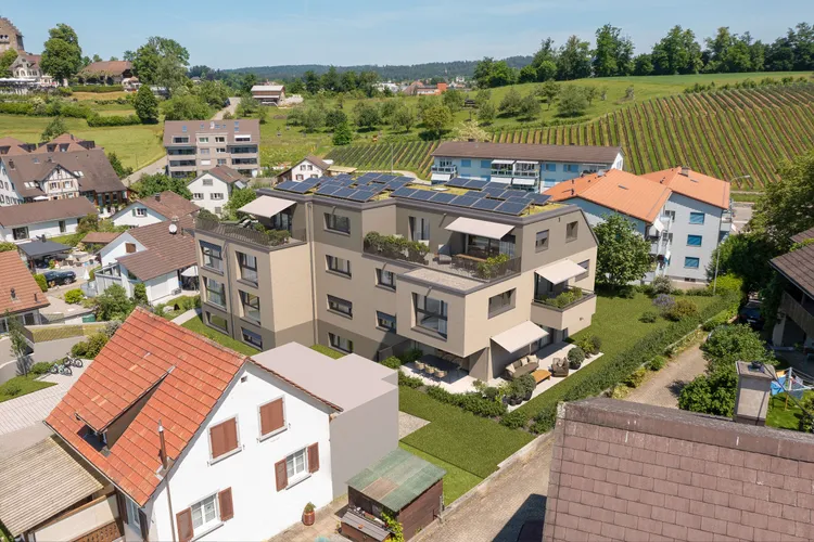 Uster, Schlossblick