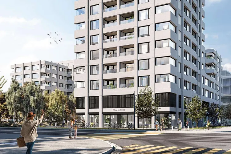 Zürich-Altstetten, Basilisk